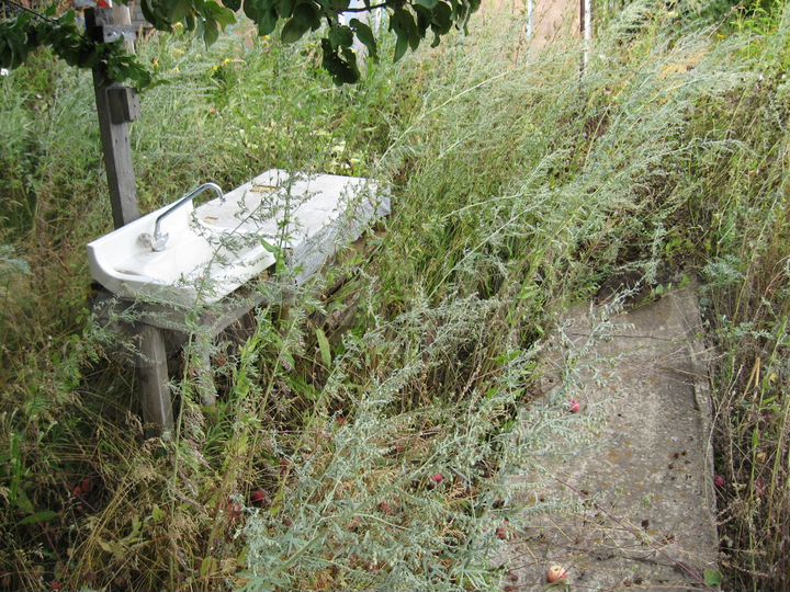 Дача 45 м² на участке 5,5 сот.