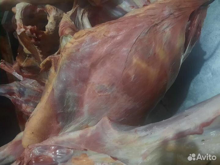 Мясо говядина для собак, и на обвалку