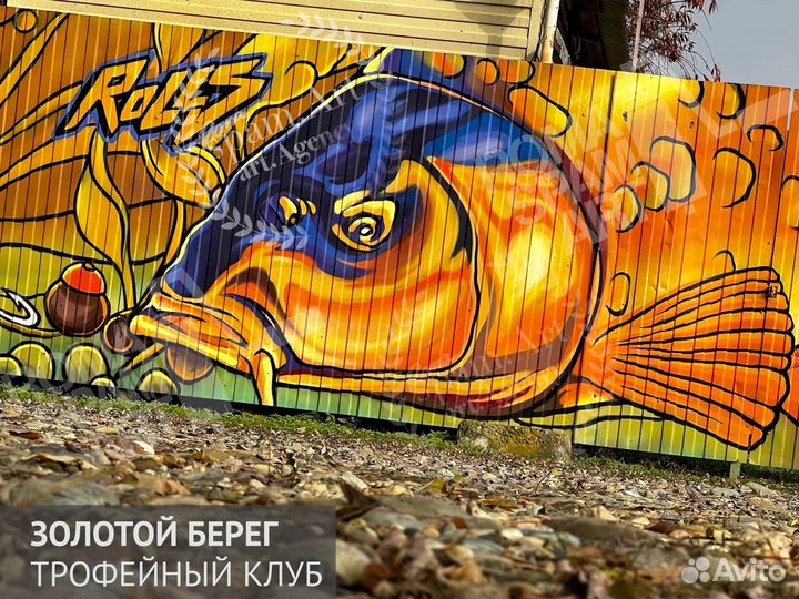 Граффити в Краснодаре/Роспись стен/Художник