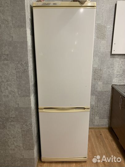 Холодильник stinol