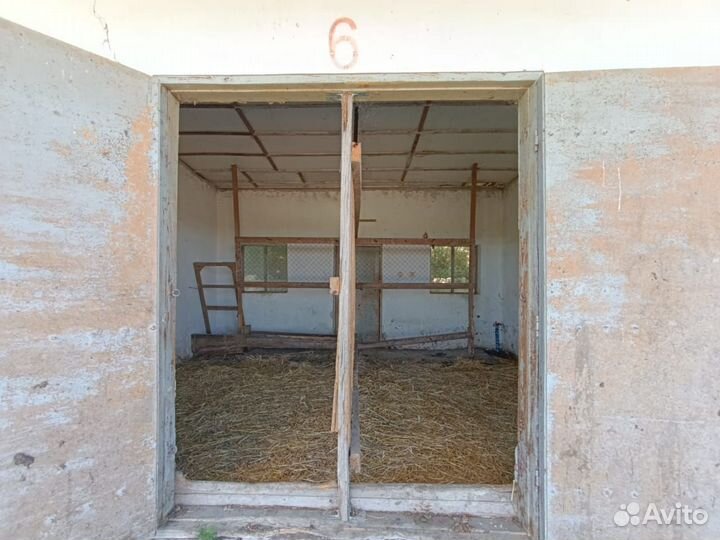 Постой лошадей