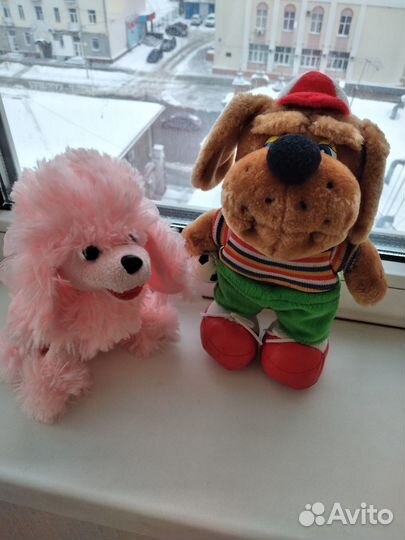 Собака-футболист и пудель-девочка