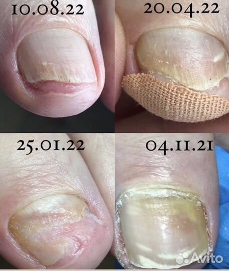 Подолог Балашиха