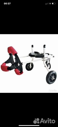 Инвалидная коляска для кошек и собак