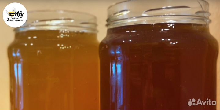 Мёд натуральный. Собственная пасека