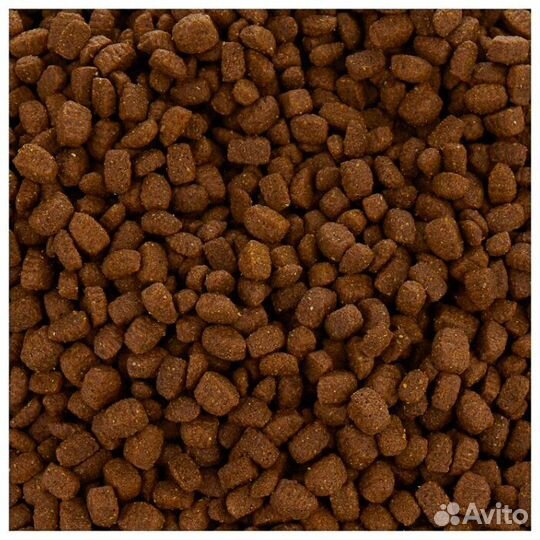 Производство корма для собак и кошек