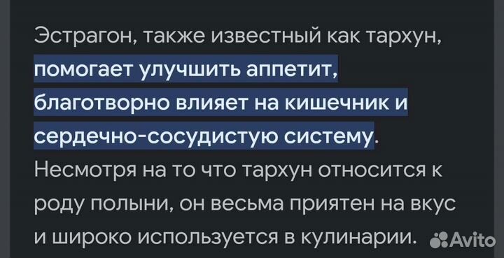 Тархун (эстрагон)