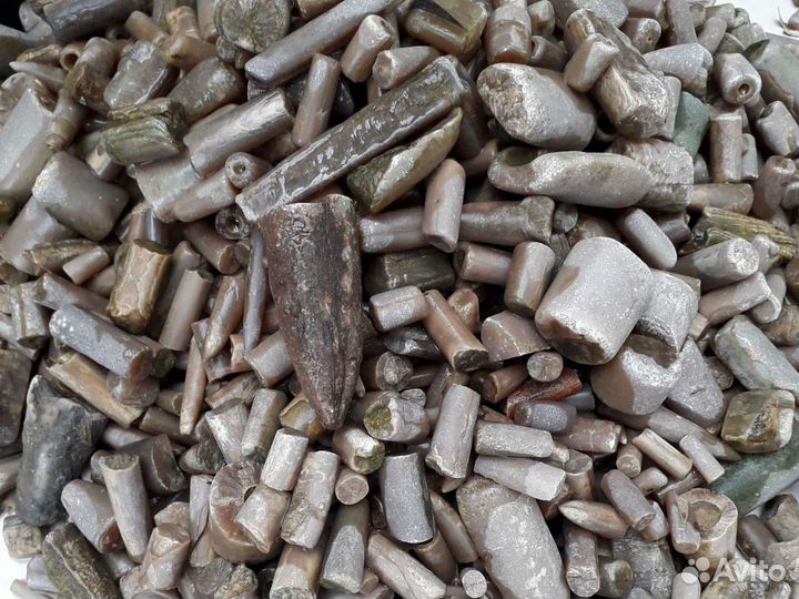 Белемнит.Чертов палец