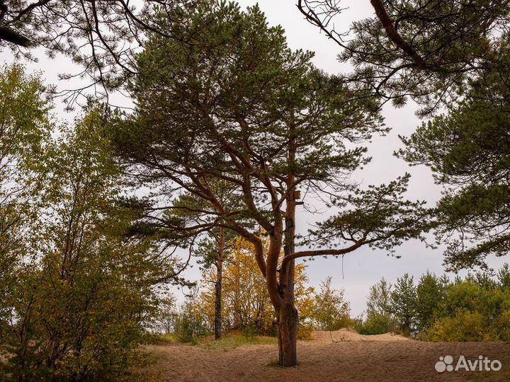 Экскурсия — Архангельск — всеверодвинск— кподлодка