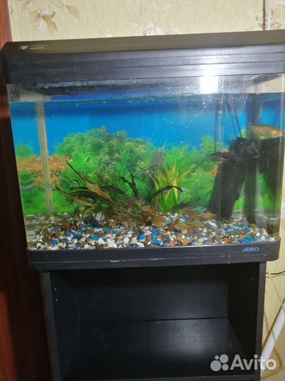 Аквариум