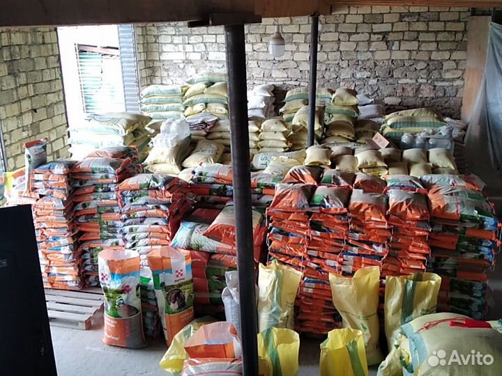 Корма для птиц всех видов