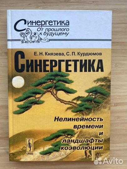 Синергетика нелинейность времени