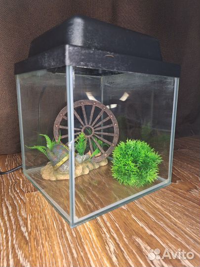 Аквариум