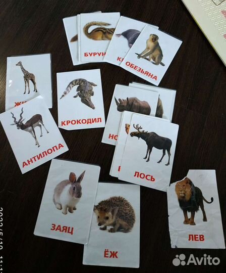 Развивающие карточки для детей