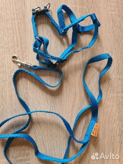 Ошейник-поводок для кошек и мелких собак