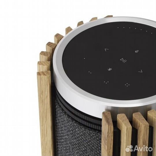 Bang & Olufsen BeoLab 28 Silver/Wood