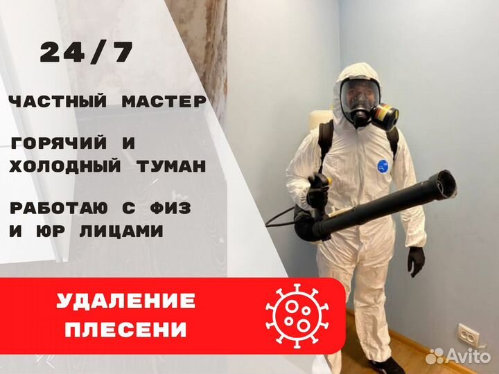 Удаление/ Обработка Плесени/ Дезинфекция