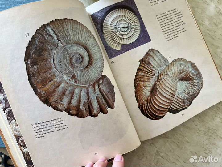 Книги о природе СССР