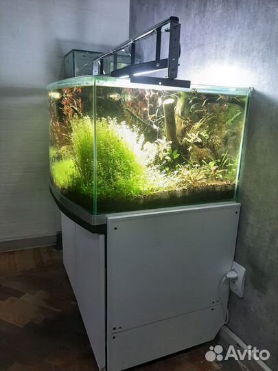 Аквариум панорамный 180л