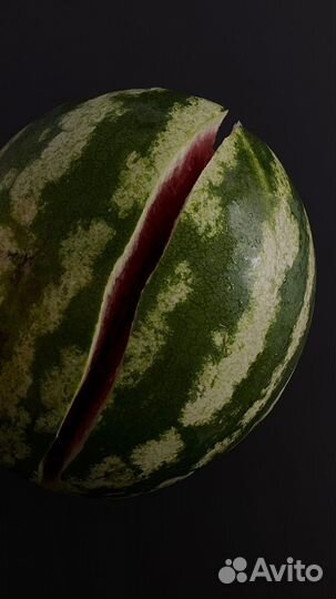 Самый сочный арбуз