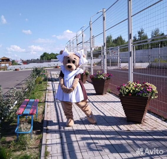 Ростовая кукла. Мишка. Аниматор. Поздравление