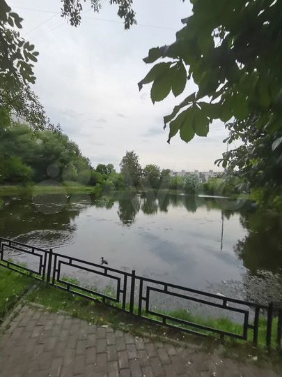 Комната 11 м² в 3-к., 1/9 эт.