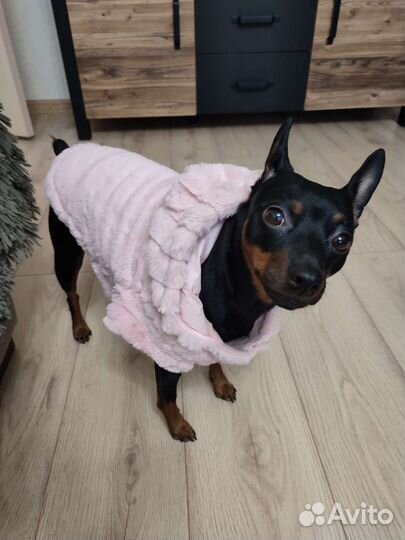 Меховое манто для собаки среднего размера