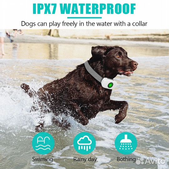 Ошейник для собак tinmiu