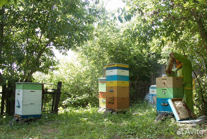 Ульи для пчел бу