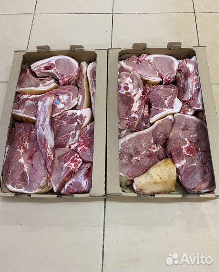 Свежая свинина