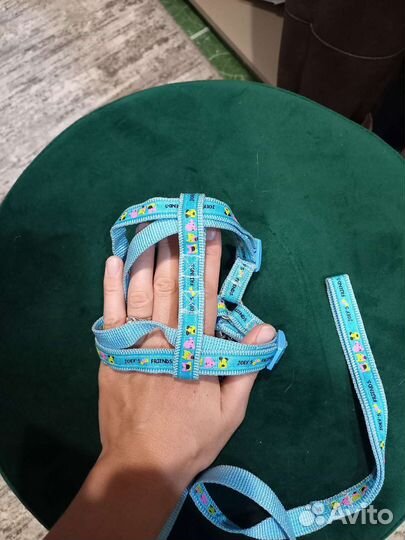 Шлейка и поводок