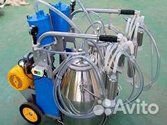 Доильный аппарат Милка коллектор Moren