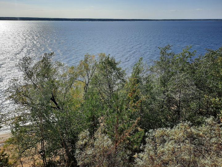 Участок 20 сот. (ИЖС)