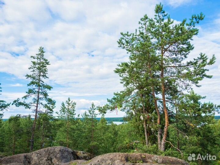 Экскурсия — Петрозаводск — Добро пожаловать в Каре