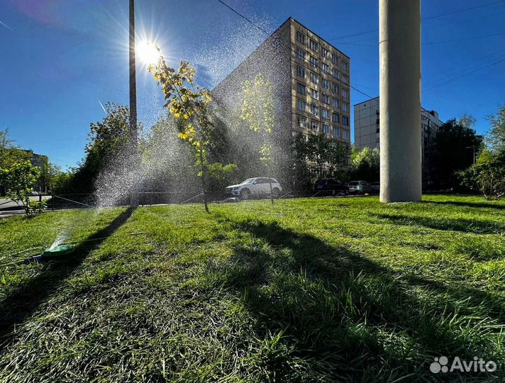 Рулонный газон для дачи