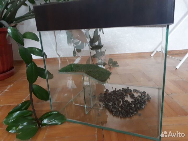 Аквариум для черепах бу