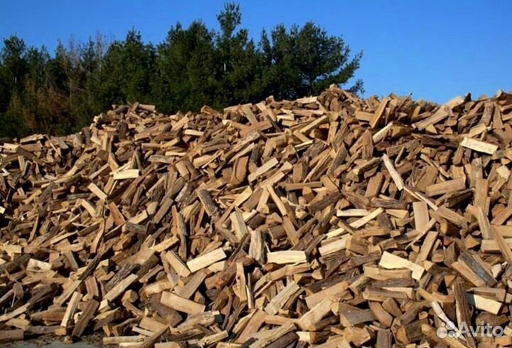Дрова для бани
