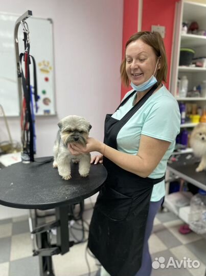 Груминг собак. Стрижка кошек. Передержка