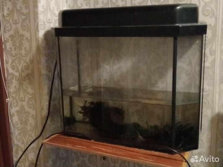 Аквариум с крышкой