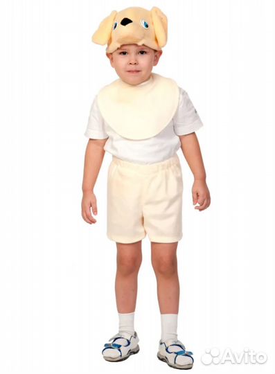 Костюм Лабрадора