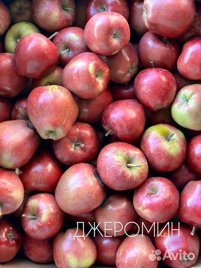 Яблоки оптом
