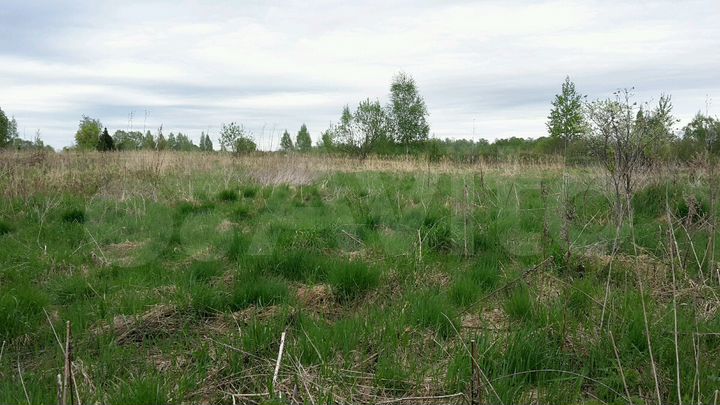 Участок 15 сот. (ИЖС)