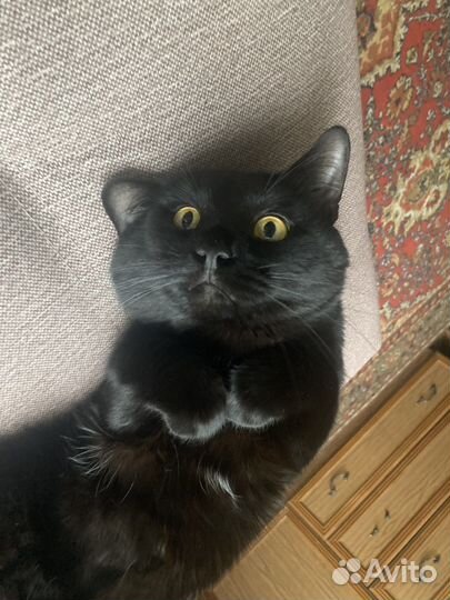 Котик для вязки