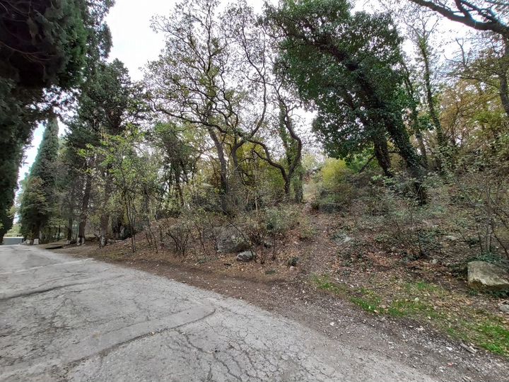 Участок 4,2 сот. (ИЖС)