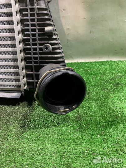 Интеркулер Audi A3 8P CCZ 2008