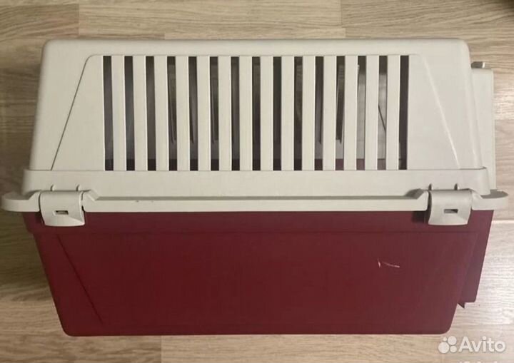 Переноска аренда