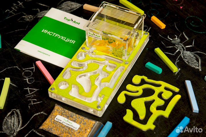 Муравьиная ферма