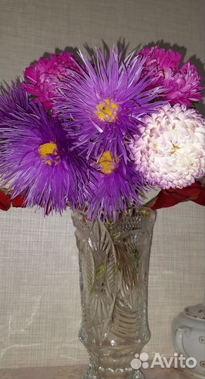 Астры букет