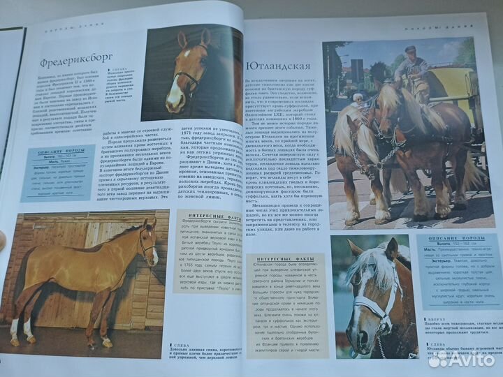 Энциклопедия Лошади и уход за ними