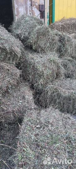 Сено в брикетах